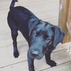 Meet your Posher, Haley